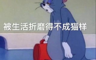 盘点小学生沙雕时刻文案，盘点小学生沙雕时刻文案短句