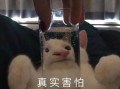 脸肿沙雕文案，脸肿的文案
