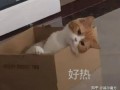 出门类文案沙雕，出门类文案沙雕搞笑