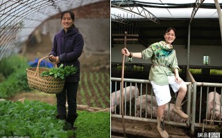 美女种菜恶搞视频，美女种菜恶搞视频大全