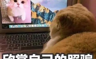 沙雕文案可爱自拍，沙雕文案可爱自拍图片