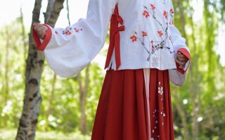 汉服技师服装冬季穿搭，汉服技师服装冬季穿搭图片