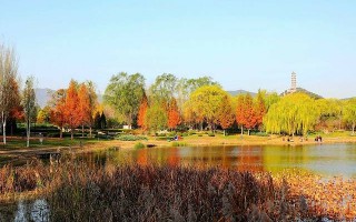 北坞公园游玩攻略，北坞公园游玩攻略游记