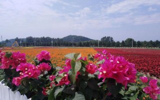 牧城公园游玩攻略，牧城公园游玩攻略一日游