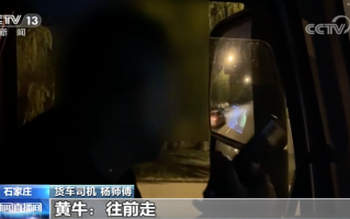 大黄牌恶搞视频，大黄牌恶搞视频大全